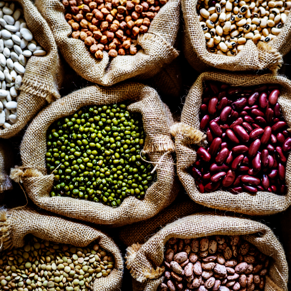 Keralagro High-Quality Seeds and Farm Products